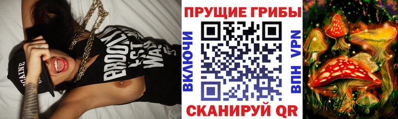 Галлюциногенные грибы прущие грибы  Кувандык 